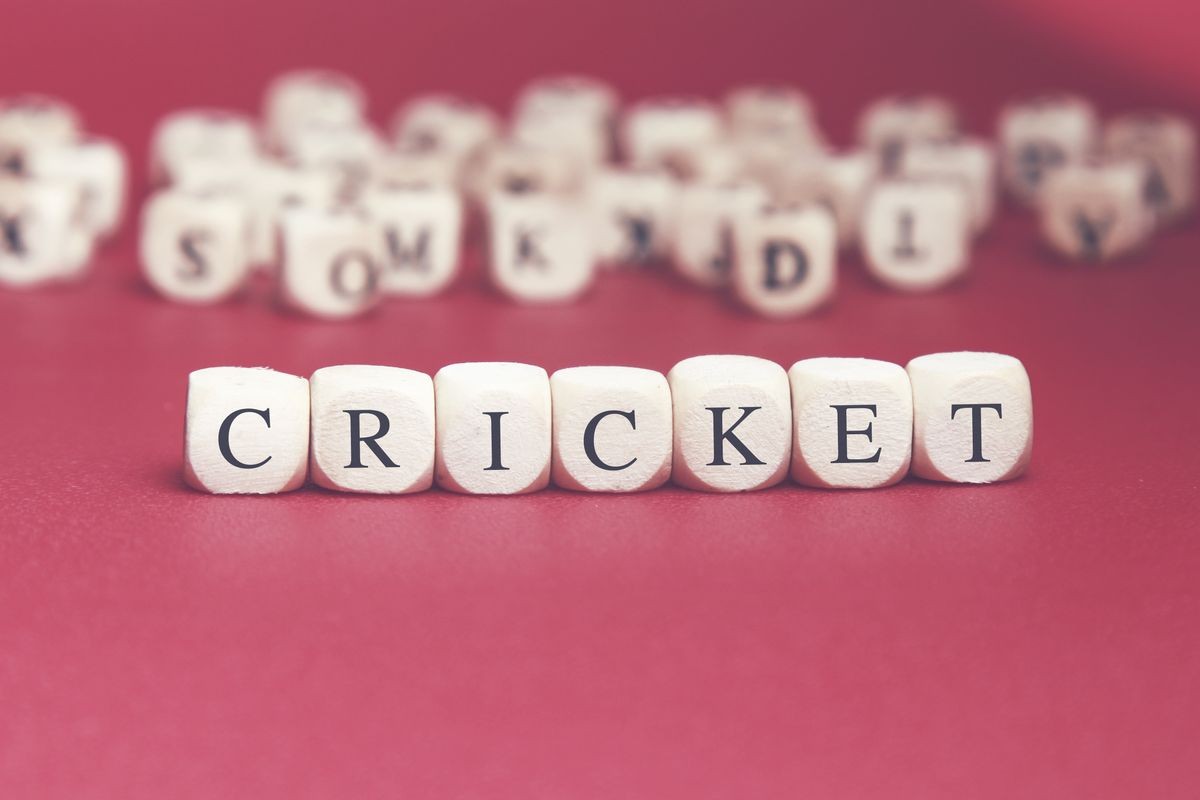 Cricket word written on wood cube with red background